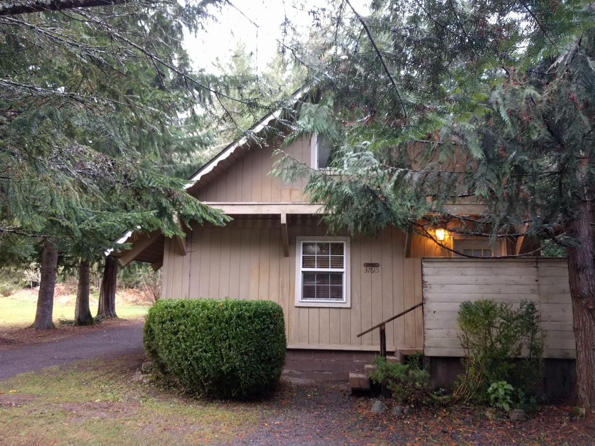 הוילה אשפורד Chalet At Mt. Rainier מראה חיצוני תמונה