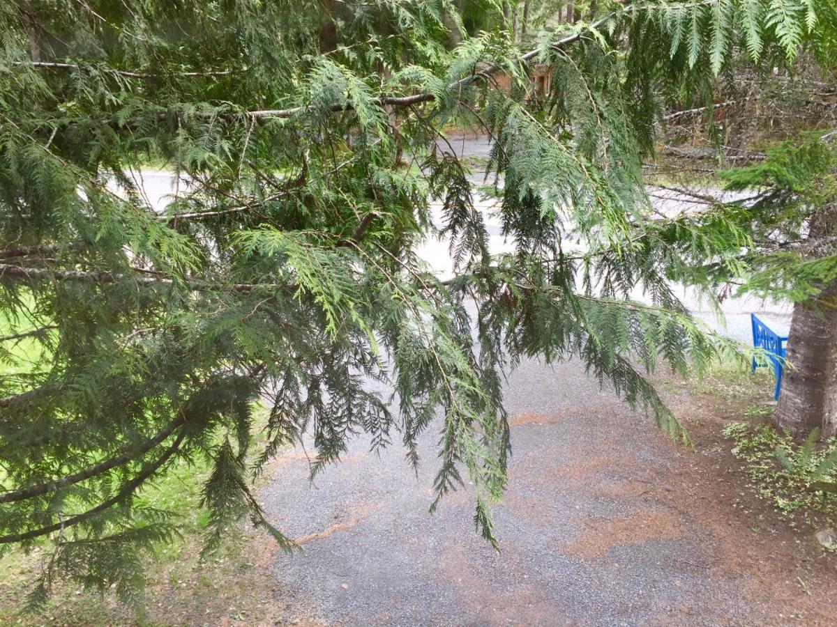 הוילה אשפורד Chalet At Mt. Rainier מראה חיצוני תמונה